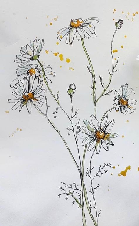 Pen And Wash Flowers, Wildflowers Sketch, Wildflower Sketch, Wildflower Drawing, Pen And Wash, Flower Sketches, Watercolor Flower Art, Plant Drawing, Gcse Art