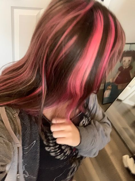 Striped Pink Hair, Brown And Pink Skunk Stripe Hair, Pink N Brown Hair, Brown And Pink Highlights Hair, Pink Skunk Highlights In Brown Hair, Dark Pink Hair With Light Pink Highlights, Pink And Black Skunk Stripe Hair, Brown Hair With Pink Stripes, Brown Hair With Pink Skunk Stripe