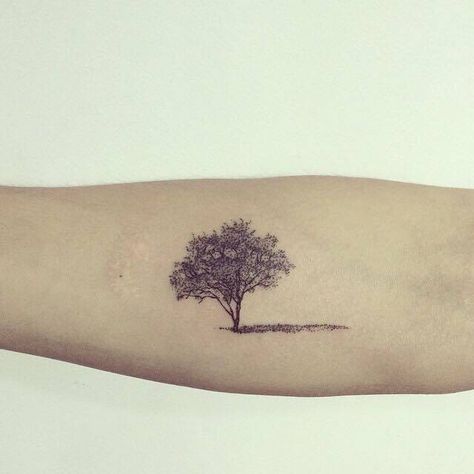 Tattoo Trees, Aspen Trees Tattoo, Model Tattoos, Forest Tattoos, Tree Tattoo Designs, Small Tattoos Simple, Tree Of Life Tattoo, E Tattoo, Tattoo Life