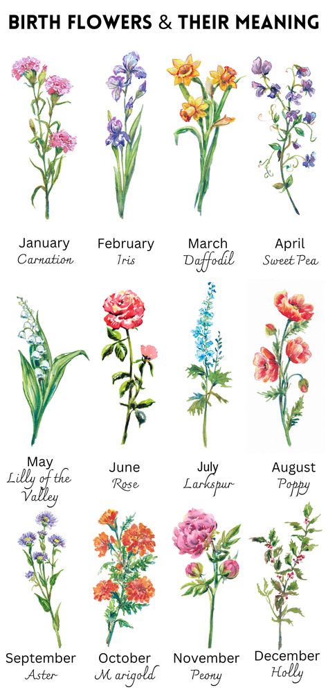 Birth Flower Meaning Birth Flower Art By Month My Birth Month Flower Meaning Botanical Month Gift — Alla Dickson Art & Goods Flower Of Month Births, Flower By Month Birthday, Flowers By Birth Month, July Flower Birth Month, Monthly Birth Flowers, Flowers Month Birthday, January Month Flower, Moms Garden Birth Flowers, Birth Flower Meanings