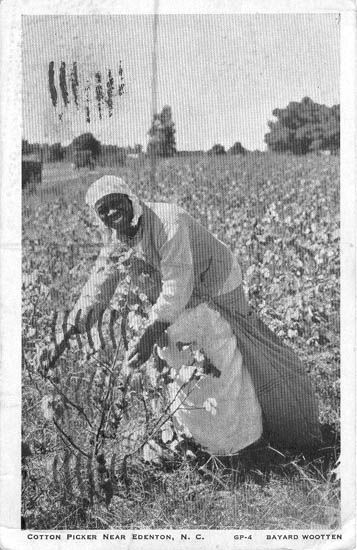 A beautiful smile while pickin cotton. Earth Collage, Cotton Picking, Cotton Picker, Country Images, Blast To The Past, African History Truths, Cotton Gin, Black Folk Art, 1900 Fashion