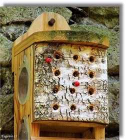 Bug Houses, Insect House, Ladybug House, Slugs In Garden, Sweet Alyssum, Insect Hotel, Garden Bugs, The Ladybug, Water Source