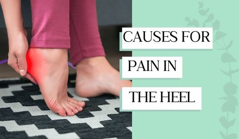 Heel Pain Relief Remedies, Sore Heels, Hair And Skin Vitamins, Foot Anatomy, Heel Pain Relief, Pain Relief Remedies, Ankle Pain, Leg Pain, Calf Muscles