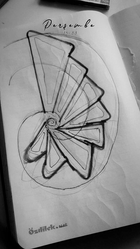 Radial Architecture Plan, Organic Architecture Concept Sketch, Organic Architecture Concept, Biomimicry Architecture, Eco Project, Conceptual Model Architecture, Architecture Design Presentation, Origami Architecture, Conceptual Sketches