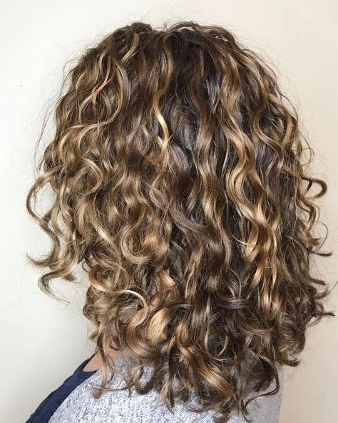 Curly Brown Hair with Dark Blonde Highlights Dark Blonde Highlights, Highlights Curly Hair, Colored Curly Hair, Super Hair, Blonde Hair With Highlights, Hair Color Highlights, Mid Length Hair, Curly Hair Tips, Curly Hair Cuts