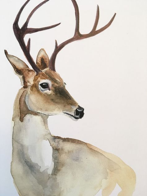 White Tail Deer Kirsten Dill Watercolor  Etsy SonoranWatercolors Drawing Ideas With Watercolors, Deer Drawing, Deer Illustration, Deer Painting, Deer Art, Watercolor Paintings Easy, A Deer, Watercolor Inspiration, Christmas Paintings