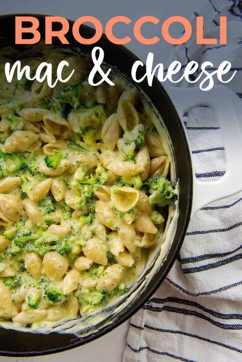 Our cream shells and cheese is loaded with tender broccoli to make this dish one you can feel good about! Stovetop Broccoli, Broccoli Mac And Cheese, Shells And Cheese, The Best Broccoli, Cheesy Pasta Recipes, Buns In My Oven, Best Broccoli, Cheese Buns, Cheese Stuffed Shells