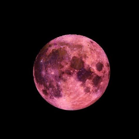 Earth Icon, The Moon Tonight, Moon Aesthetic, Moon Photos, Super Moon, Pink Moon, Beautiful Moon, Detail Art, World Of Warcraft