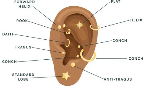 Styling 101 – STONE AND STRAND All Ear Piercings Chart, Types Of Ear Piercings Chart, Piercing Diagram, Ear Piercing Diagram, All Ear Piercings, Piercings Chart, Styling 101, Ear Piercings Chart, Piercing Chart