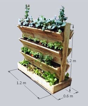 Tanaman Air, Garden Ideas To Make, Vertical Herb Garden, Vertical Planter, Vertical Gardens, Pallet Garden, Cool Ideas, Veggie Garden, Growing Vegetables