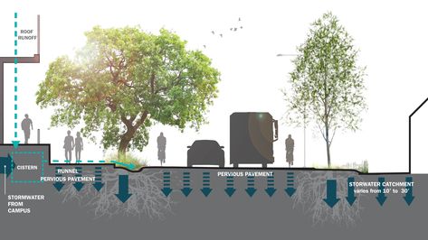 Street Section - Stormwater as an asset on urban campuses | Building Design + Construction Pervious Pavers, Planning Landscape, Sponge City, Campus Landscape, Streetscape Design, Green Roof System, Future Cities, World Landscape, Stormwater Management