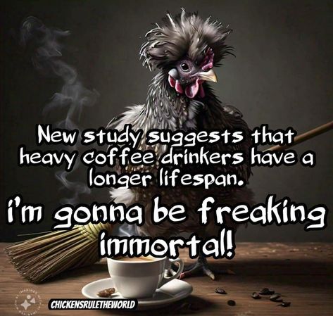 Coffee Now Humor, Coffee Humor Monday, Morning Coffee Funny, Cute Good Morning Images, Coffee Funny, Cute Good Morning, Coffee Drinkers, Coffee Humor, Good Morning Images