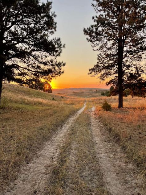 Farm Athstetic, Country Road Aesthetic, Country Lifestyle Farm Life, Country Aesthetic Wallpaper, Sweetest Of The Sunflowers, Sunset Is My Favorite Color, Country Backroads, Simple Country Life, Farm Vibes