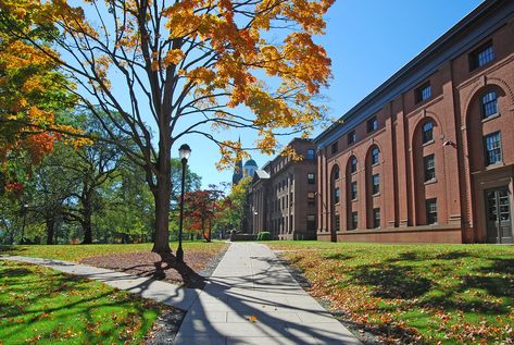 Wesleyan University Wesleyan University, International University, College Campus, University Campus, Modern Farmhouse, Drake, New England, University, England