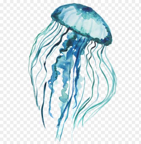 Jellyfish Png, Background Png Images, Watercolor Jellyfish, Blue Jellyfish, Background Drawing, Clear Background, Png Icons, Background Png, Watercolor Background