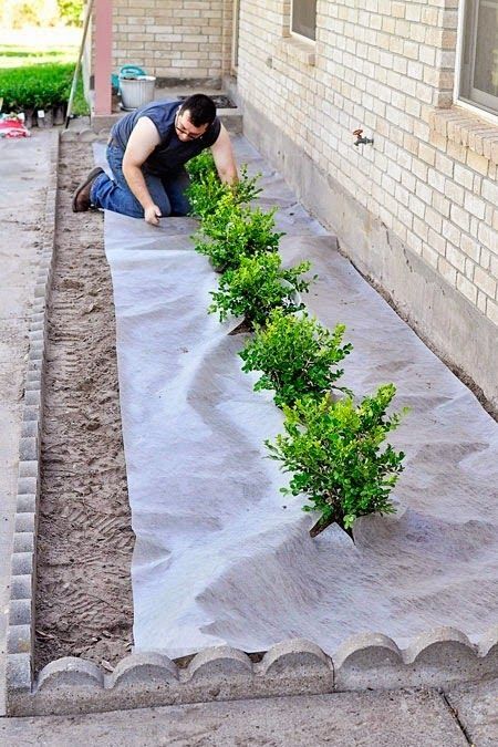 A DIY landscaping tutorial for adding boxwoods or plants to the front of your home to boost curb appeal. نباتات منزلية, Yard Landscape, House Landscaping, Front House, Yard Project, Have Inspiration, Home Landscaping, Landscaping Tips, Diy Landscaping