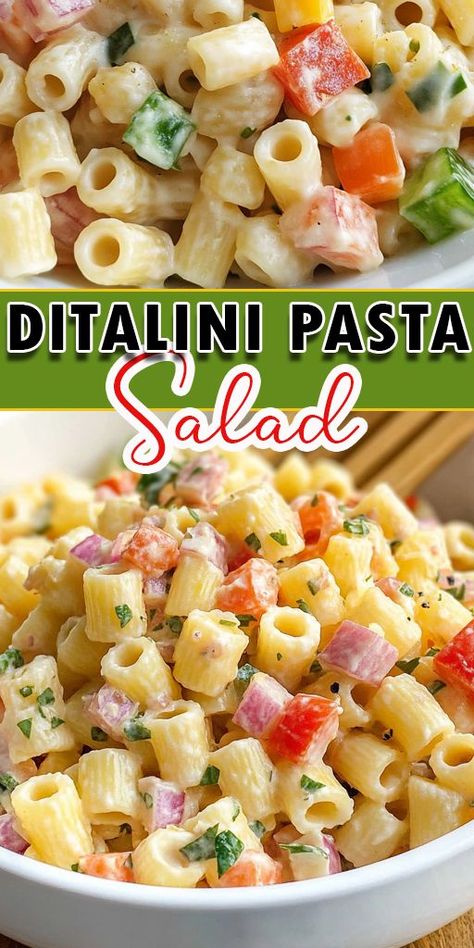 Try this Ditalini Pasta Salad! 🌿🍝 Packed with fresh veggies, flavorful dressing, and perfectly cooked ditalini pasta, this salad is perfect for a summer picnic, BBQ, or a quick weeknight dinner. 📌 Pin it now to save this recipe for later and make it part of your go-to summer dishes! Don’t forget to share with your friends! 👇 #PastaSalad #EasyRecipes #DitaliniPasta #SummerRecipes #HealthyEating Pasta Salad Ditalini, Ditalini Pasta Recipes Cold, Ditalini Pasta Salad Recipes, Cold Dishes For Potluck, Ditalini Pasta Salad, Shell Pasta Salad, Ditalini Pasta Recipes, Recipes With Ditalini Pasta, Cold Pasta Salad Recipes