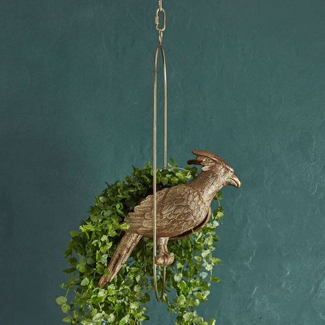 Harry Potter™ Phoenix Hanging Planter | Pottery Barn Teen Fairytale Home Decor, Hogwarts Decor, Harry Potter Bedroom Decor, Phoenix Harry Potter, Lamp Pottery, Planter Pottery, Which Hogwarts House, Magical Room, Harry Potter Bedroom