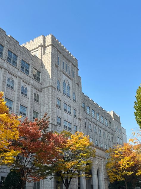 Korea University in the fall is surrounded by beautiful folliage. Many students and people passing through campus take photos and enjoy the view. Korean University Classroom, Korea University Campus, Korean University Aesthetic, Korea University Aesthetic, University In Korea, Korean University, University Inspiration, Campus Aesthetic, Dream University