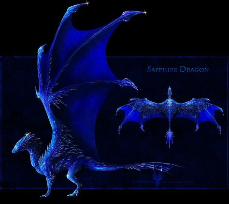 Sapphire dragon by Diterkha Please do not use for the sake of the artist and adoptable owner Sapphire Dragon, Gem Dragon, Dragons Crown, Got Dragons, Devian Art, Dragon Series, Fairy Dragon, Astral Projection, Dragon Pictures