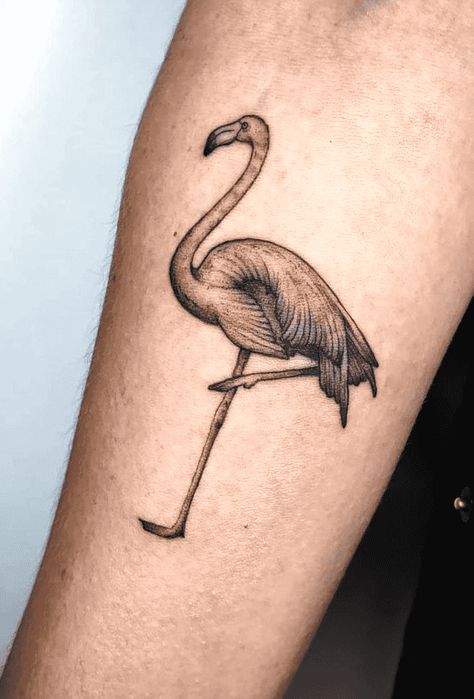 Flamingo Tattoo Design Images (Flamingo Ink Design Ideas) Flamingo Tattoo For Men, Realistic Flamingo Tattoo, Black And White Flamingo Tattoo, Flamingo Tattoo Black, Tattoo Flamingo, Flamingo Tattoos, Tattoos 2023, Go Tattoo, Flamingo Tattoo