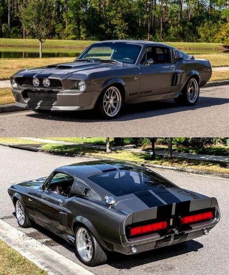 1967 Shelby GT500CR Fastback 1968 Shelby Mustang Gt500-kr, 67 Shelby Gt 500, Gt500 Shelby 1967, Shelby Truck, 1967 Shelby Gt500, Shelby Mustang Gt500, Shelby Gt 500, Shelby Gt, Shelby Gt500