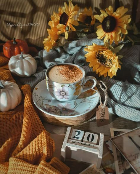 September vibes September Aesthetic Photography, September Aesthetic Month, September Mood Board, September Vibes, September Aesthetic, September Mood, Coffee Autumn, Beautiful Love Images, Phone Art