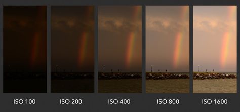 What is ISO? Understanding ISO for Beginners - Photography Life Iso Photography, What Is Iso, Iso Settings, Vr Lens, Night Sky Photography, Bright Photos, Camera Digital, Photo Website, Light Images