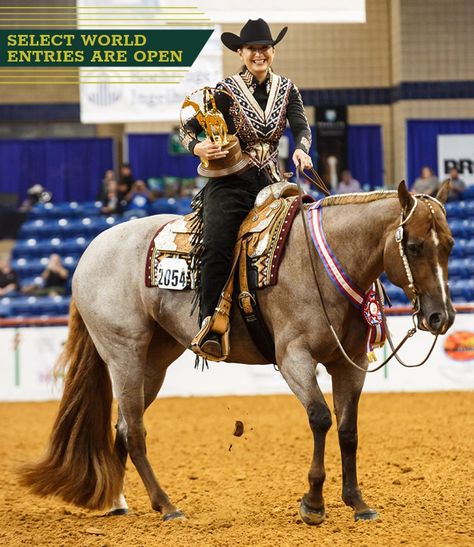 Aqha Western Pleasure, Western Pleasure Outfit, Roan Horse, Horse Memes, Aqha Horses, Horse Showing, Western Vibes, Quarter Horses, Western Pleasure