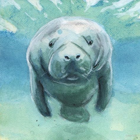 Mister Manatee by mserido Manatee Art, Sea Cow, Underwater Art, Manatees, Marine Mammals, Christmas Stickers, Watercolor Cards, Art Sketchbook, Funny Stickers