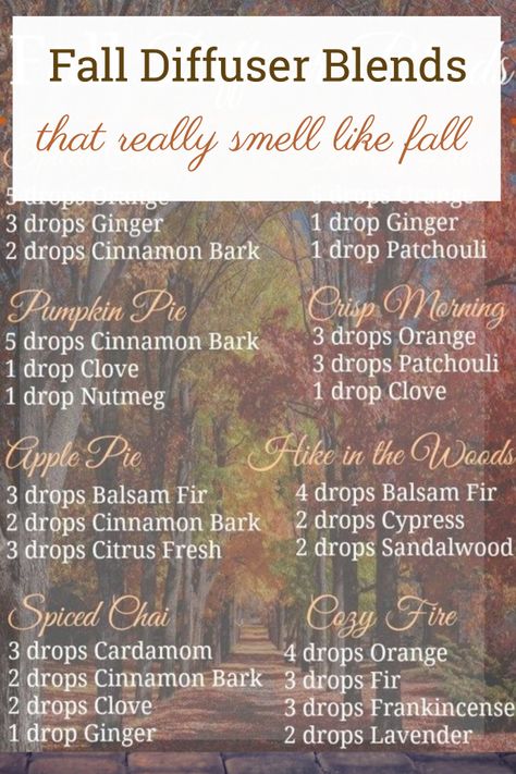 Revive Fall Diffuser Blends, Fall Leaves Diffuser Blend, Fall Leaves Essential Oil Blend, Pumpkin Pie Essential Oil Blend, Smell Like Fall, Make Your House Smell Amazing, Fall Essential Oils, Fall Diffuser Blends, Doterra Diffuser Blends