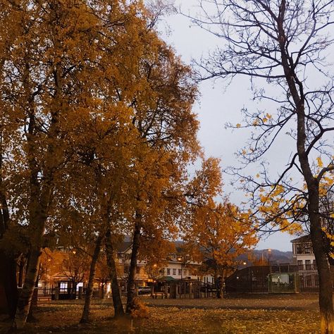 Autumn Academia, Leaves On The Ground, Fall Mood Board, Killarney, Autumn Scenery, Season Of The Witch, Fall Feels, Best Seasons, Autumn Vibes