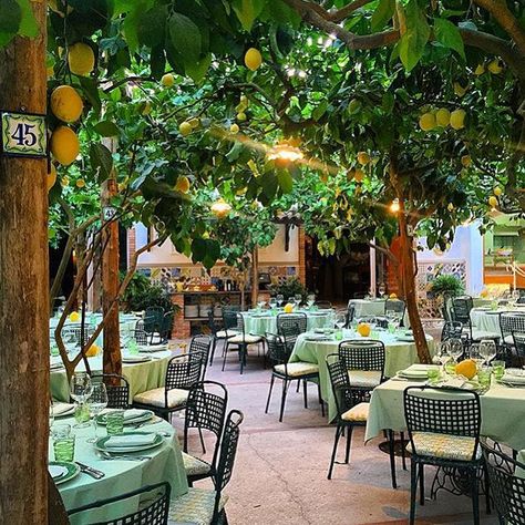 Al Paolino lemon tree restaurant, Capri Garden Cocktail Party, Garden Cocktail, Outdoor Restaurant Patio, Restaurant Design Inspiration, Tree Restaurant, Lemon Trees, Diy Home Decor Ideas, Capri Italy, Outdoor Restaurant