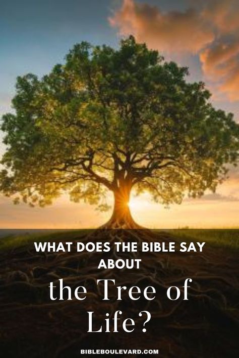 What Does the Bible Say About the Tree of Life? Tree Bible Verse, The Garden Of Eden, Best Bible Verses, Bible Says, Bible Study Notebook, The Tree Of Life, Childrens Church, Garden Of Eden, Eternal Life