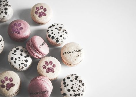 Dog Macarons, Kameron Westcott, Painted Macarons, Custom Macarons, Sparkle Dog, French Macarons Recipe, Dog Biscuit Recipes, Dog Bakery, Macaron Recipe