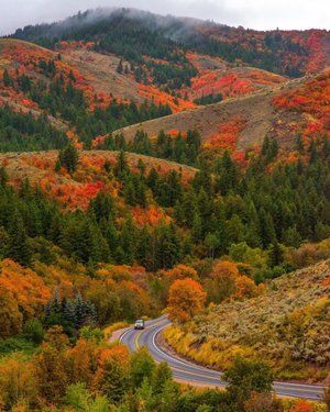 Fall For Idaho - Visit Idaho Pocatello Idaho, Visit Idaho, My Own Private Idaho, Unique Vacations, Forest Road, Autumn Scenes, Fall Travel, City Aesthetic, Travel Aesthetic