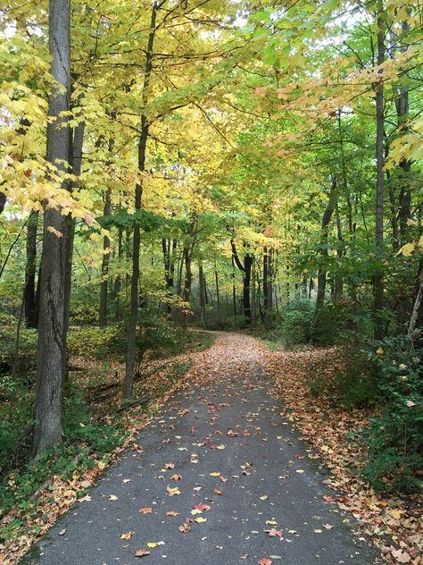 Walking Trails Aesthetic, Going For Walks Aesthetic, Walking Trail Aesthetic, Walk In Park, Walks Aesthetic, Walking In Forest, October Colors, Walking Pictures, Walks In Nature