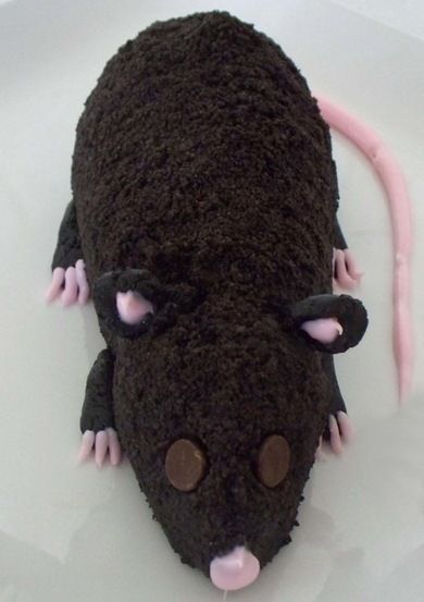 Halloween Recipe: Chocolate Rat from Punchbowl Chocolate Cheese Ball, Halloween Cheese Ball, Creepy Halloween Desserts, Mishloach Manos, Halloween Oreos, Recetas Halloween, Cream Cheese Ball, Pink Food Coloring, Cream Cheese Cookies