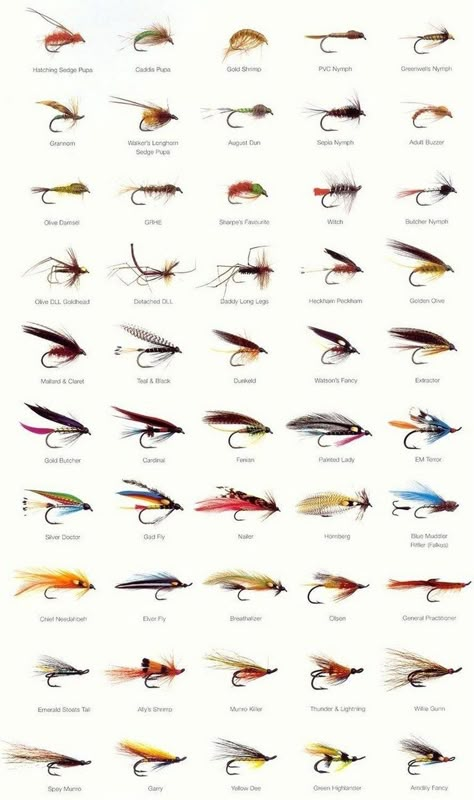 Trout Fishing Tips, Fishing Waders, Fly Fishing Flies Pattern, Fly Fishing Lures, Fly Fishing Tips, Trout Flies, Bass Fishing Tips, Fly Fishing Flies, Fly Fishing Gear