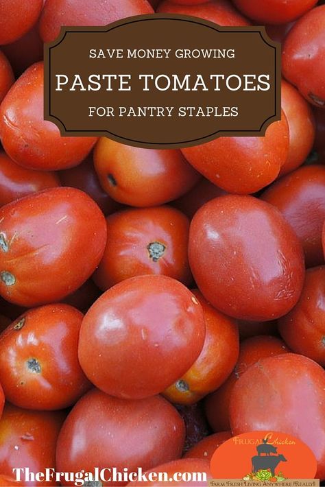 Make Your Own Pantry, Make Your Own Kitchen, Paste Tomatoes, Chickens For Beginners, Chicken Treats, Sustainable Gardening, Plant Seedlings, Survival Gardening, Canning Tomatoes