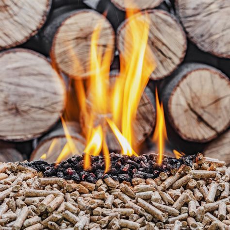 Bbq Wood, Grill Time, Wood Pellet Grills, Wood Fuel, Wood Pellet, Wood Pellets, Pellet Grill, Buy Wood, Beech Wood