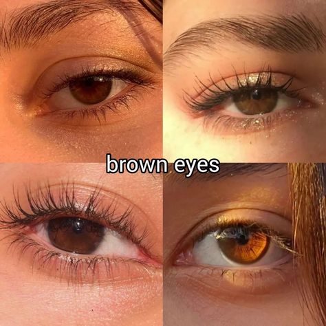 what is the colour of your eyes? ♡ follow @jeonrencia for more! 🍂 ✧₊˚. Brown Eye Colour Chart, Cognac Eyes Color, Brown Eye Color Shades, Eye Colour Chart, Shades Of Brown Eyes Chart, How To Change Ur Eye Color, Eye Colours, Eye Color Chart, Amber Eyes