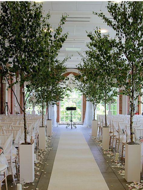 Tree Aisle Wedding, Isle Wedding, Trees Indoors, Light Up Tree, Wedding Deco, White Wedding, Valencia, Fall Wedding, Wedding Decor