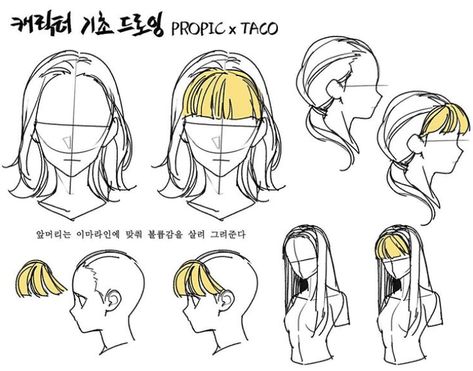 Fringe is drawn with volume according the the hairline. Taco Anatomy, Anatomy Help, Taco Drawing, 심플한 그림, Tutorial Drawing, Draw Hair, Art Hair, Manga Drawing Tutorials, Drawings Ideas