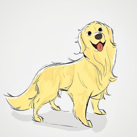 Boxer Sketch, Golden Retriever Sketch, Dog Design Art, Dog Animation, Dog Sketch, Canine Art, Dog Illustration, Animal Sketches, Sketchbook Inspiration