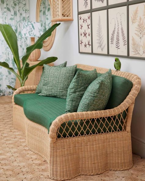 The Rattan Lily Sofa in lush green surroundings including Merlin the Parrot. #SoaneCobblersCove #rattan #wicker Hall Sofa, Elephant Table, Soane Britain, Modern Sofa Set, Cane Furniture, Sofa Set Designs, White Wicker, Rattan Sofa, Stylish Sofa