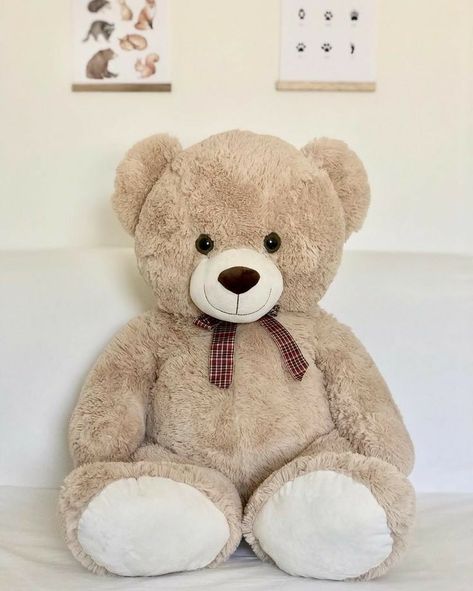 Big Teddy Bear, Big Teddy, Giant Teddy Bear, Teddy Bear Wallpaper, Giant Teddy, Bear Slippers, Teddy Bear Pictures, Teddy Bear Toys, Bear Dog