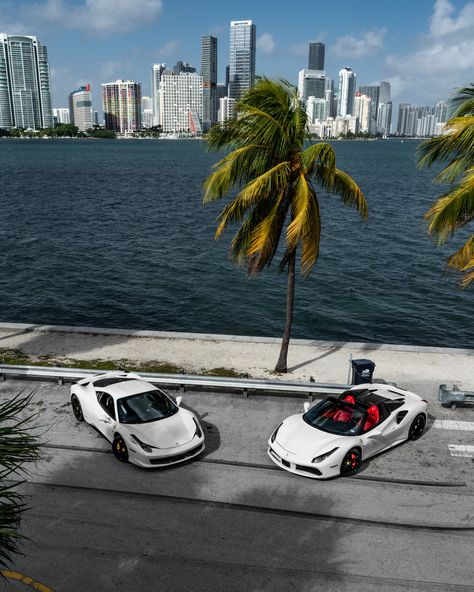 Miami Cars, 488 Ferrari, Miami City, Ferrari 488, City Car, Ferrari 458, Exotic Cars, Luxury Living, Luxury Cars