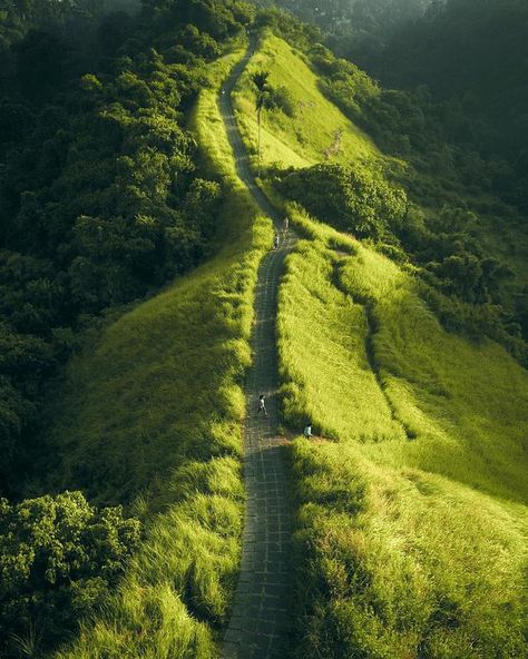 7 Incredible Places to Visit in Ubud - TheBaliGuideline Bali Pics, Campuhan Ridge Walk, Bali Bucket List, Bali Baby, Ubud Indonesia, Bali Ubud, Bali Vacation, Travel Tickets, Ubud Bali