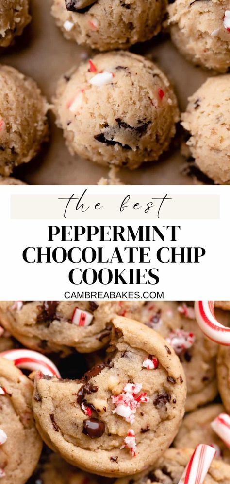 Peppermint Chocolate Chip Cookies, Christmas Cookie Recipes Holiday, Peppermint Chocolate, Christmas Baking Recipes, Christmas Snacks, Christmas Cooking, Fun Baking Recipes, Christmas Chocolate, Cookies Recipes Christmas